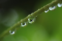 雨上がり