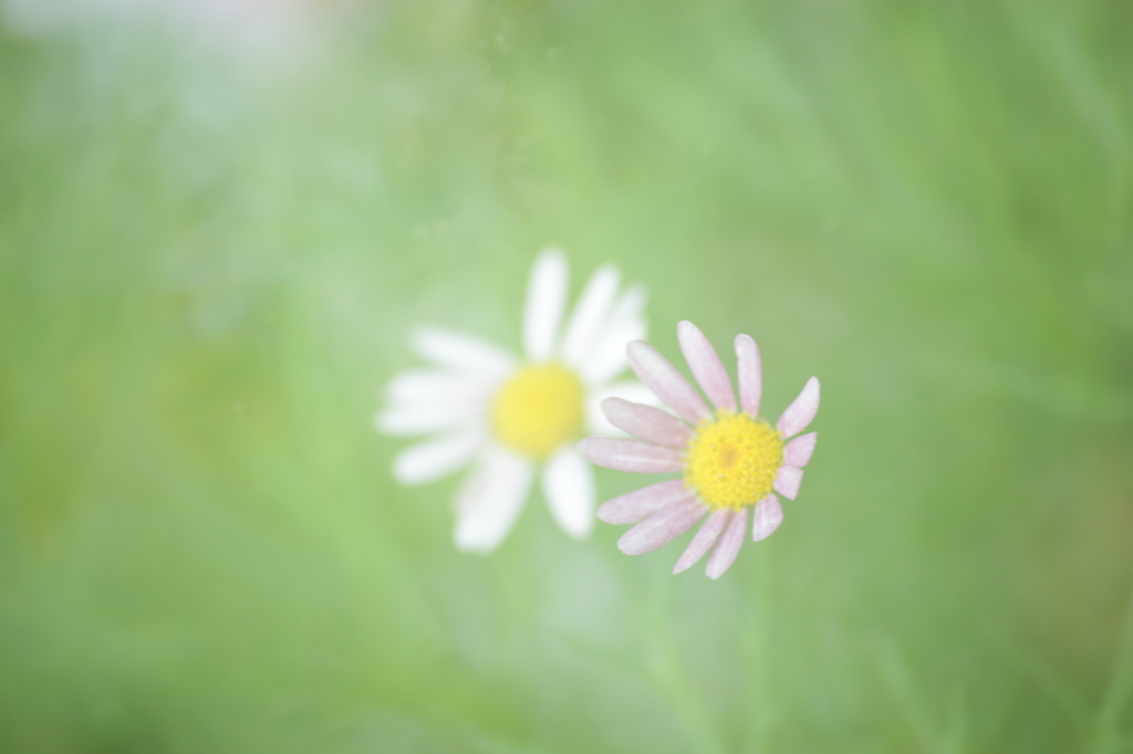 ずっと一緒に