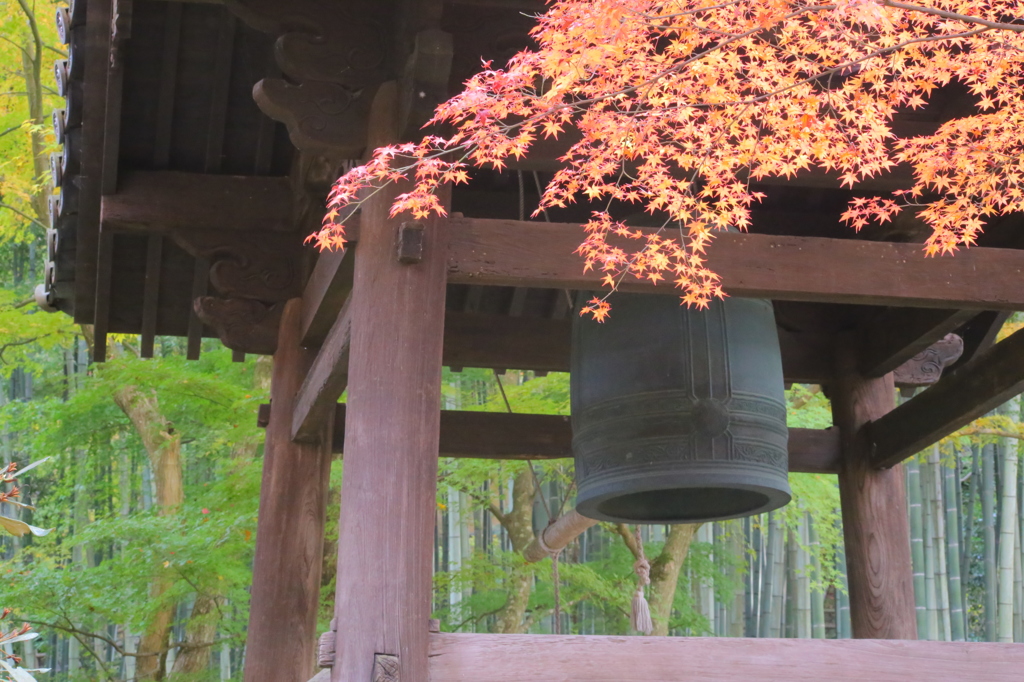 圓光寺にて