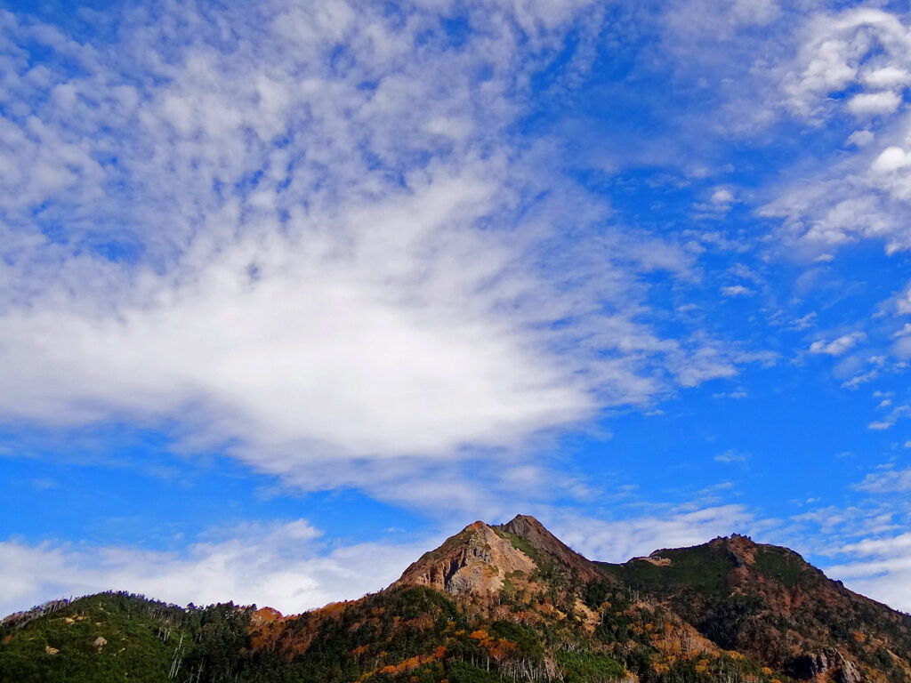 網笠山より