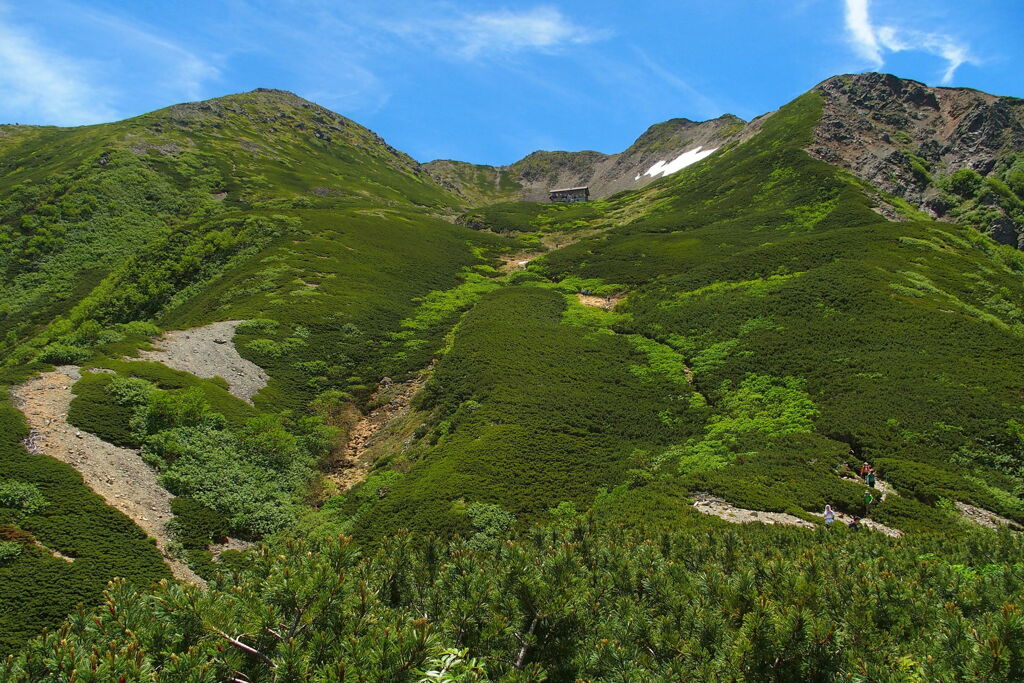 仙丈ケ岳を望む