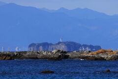 江の島遠望@天神島