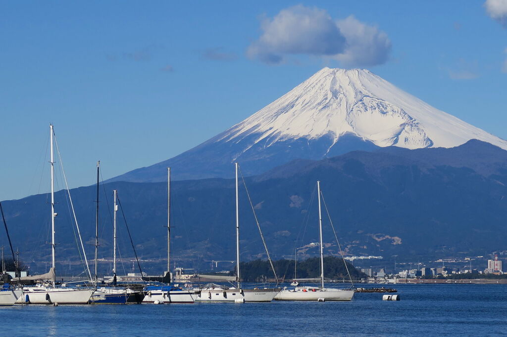 長浜ヨットハーバー