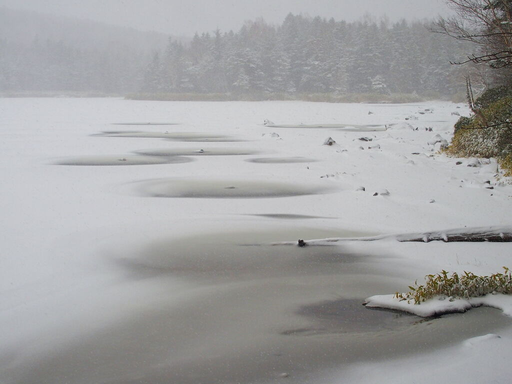 雨池