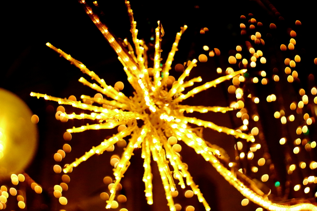 shinjuku mylord illumination 