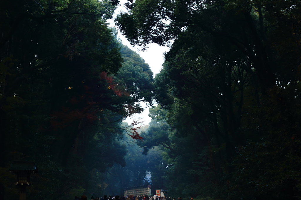 神宮