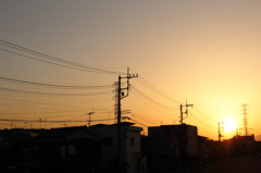 聖蹟桜ヶ丘土手沿い