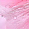 雨上がり