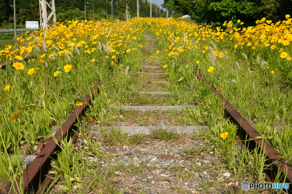 廃線の花園