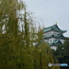 雨の名古屋城