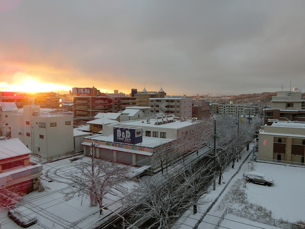 雪の朝　