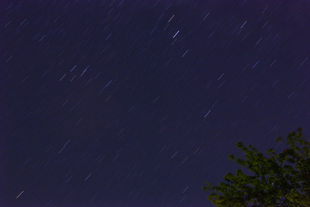 星に願いを☆彡
