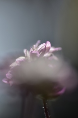 覗き見