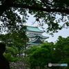 新緑と古城