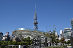 テレビ塔とオアシス