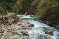 新緑と清流