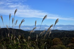 ススキと雲海