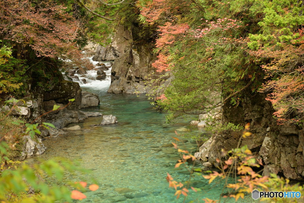 色ずく阿寺川