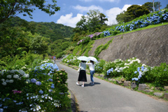 雨が降ってほしい