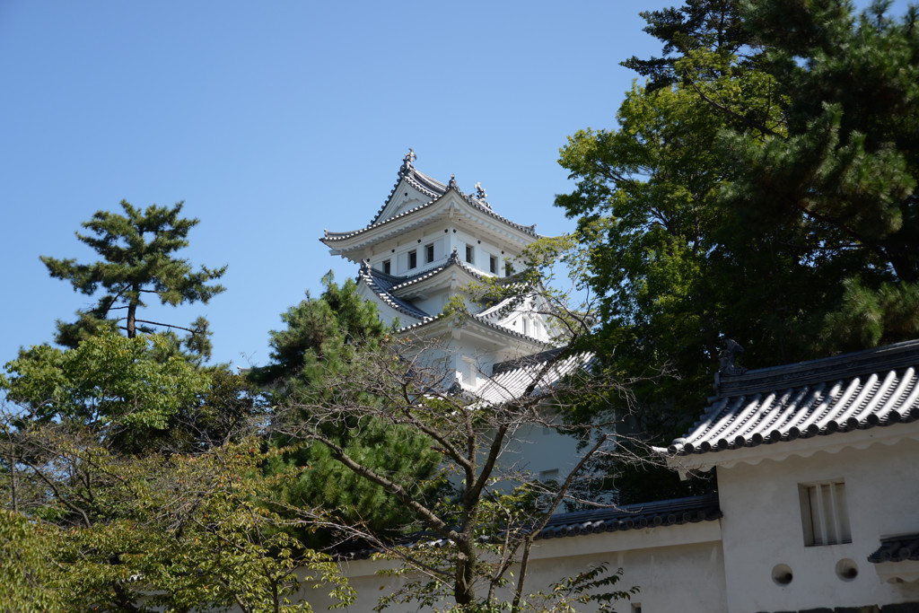 大垣城 ＃1