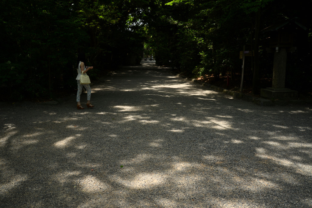 木漏れ日の散歩路