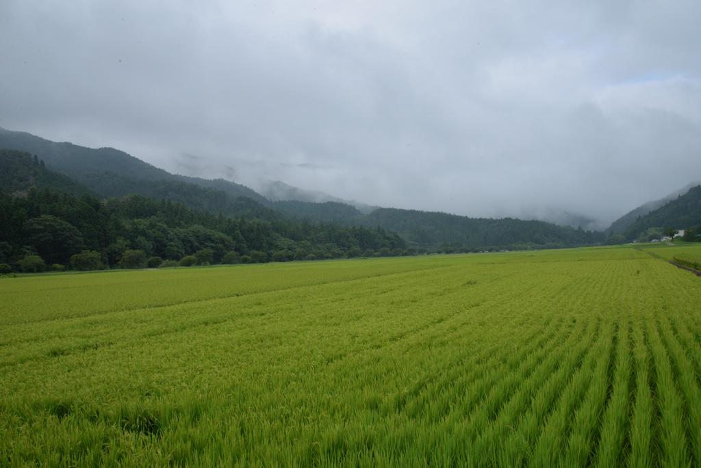 田園風景