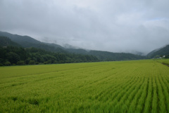 田園風景