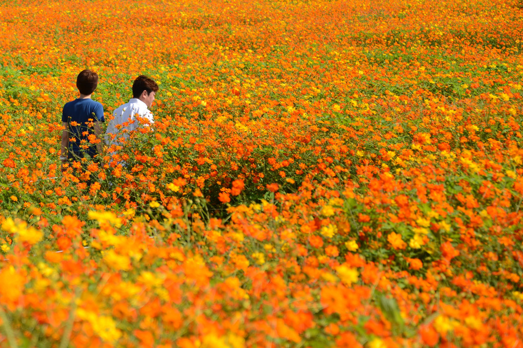 二人だけの花園