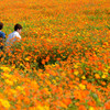 二人だけの花園