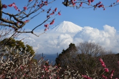 岩本公園より