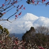 岩本公園より