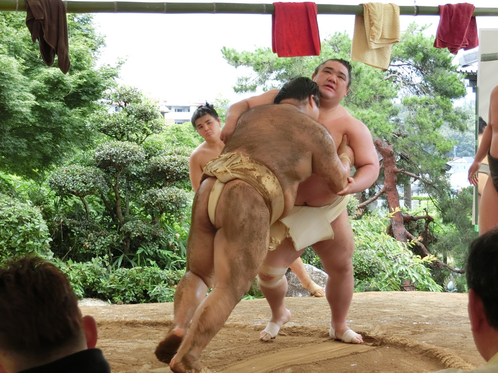 朝稽古 