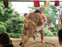 朝稽古 