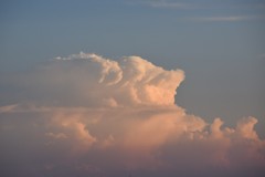 夕日に染まる夏の雲