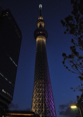 スカイツリー