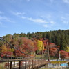 吊り橋と紅葉