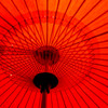 野点傘（のだてかさ）