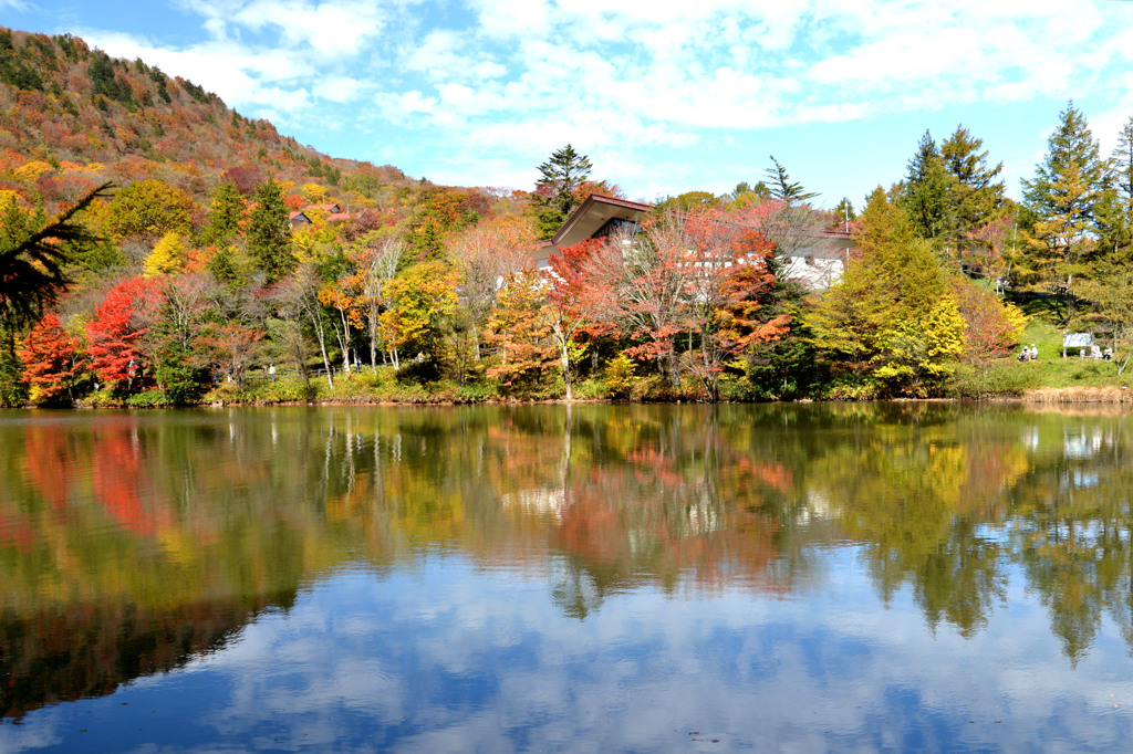 茶臼山 紅葉