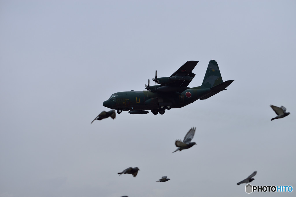 C130