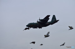 C130