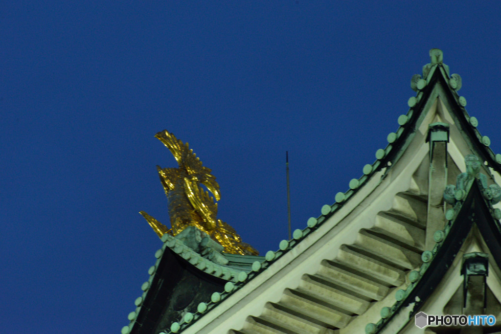 輝く金シャチ