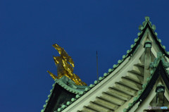 輝く金シャチ