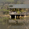 東山植物園