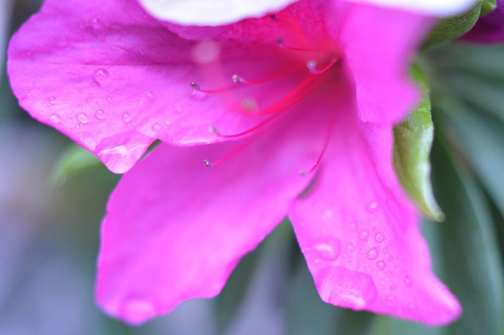 小雨の中