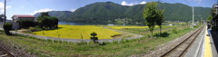 IMGP0582