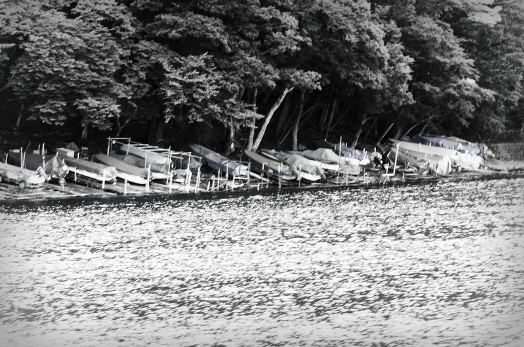 _DSC1162_1