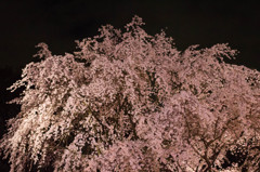 20140330-IMG_3359