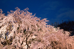 20140330-IMG_3255-2