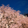20140330-IMG_3255-2