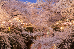 目黒川